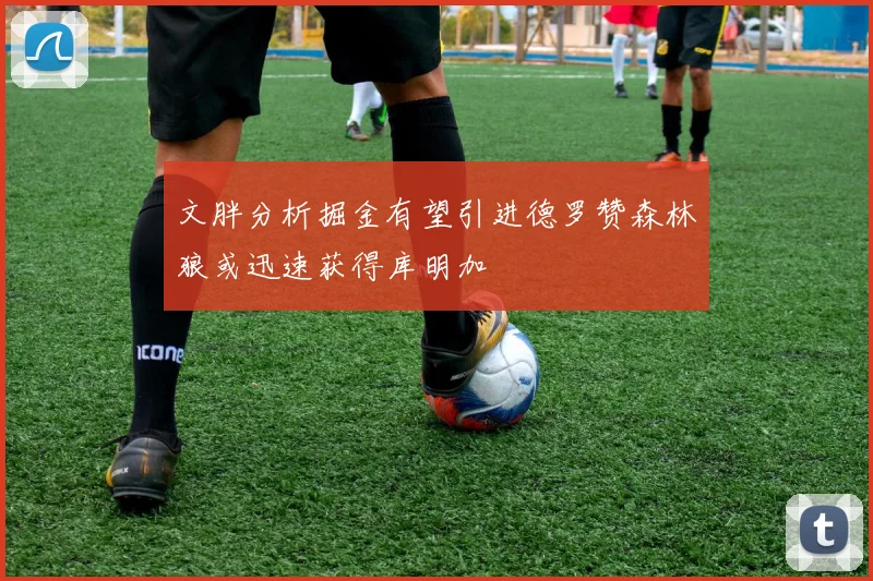 文胖分析掘金有望引进德罗赞森林狼或迅速获得库明加